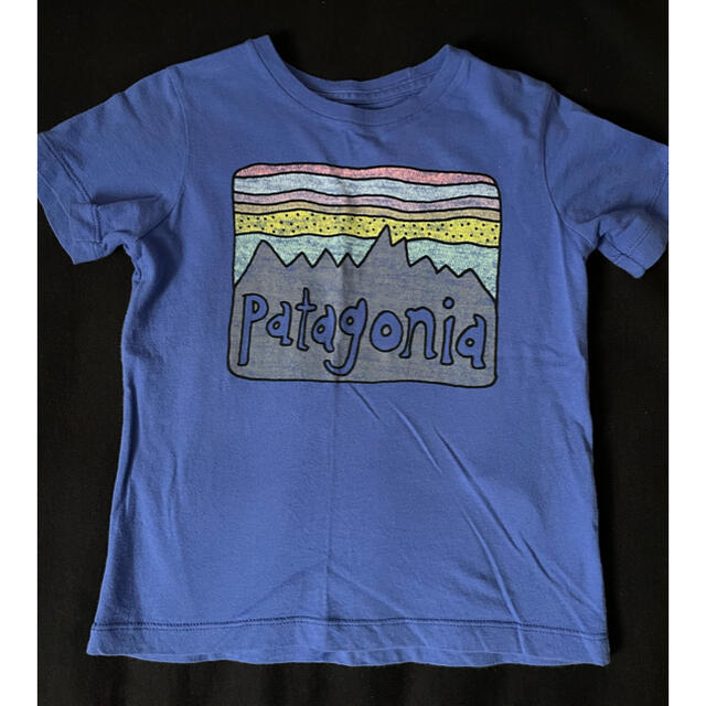 patagonia(パタゴニア)のパタゴニア　オーガニックコットンロゴTシャツ　サイズ2T キッズ/ベビー/マタニティのキッズ服男の子用(90cm~)(Tシャツ/カットソー)の商品写真