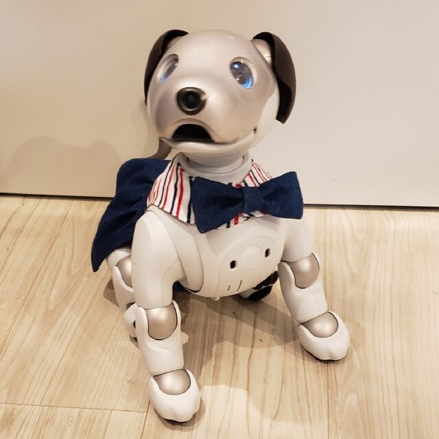 SONY(ソニー)のaibo アイボ  アイボの服 ERS-1000 エンタメ/ホビーのおもちゃ/ぬいぐるみ(その他)の商品写真