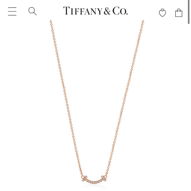 希少 黒入荷！ Tiffany & Co. - RN様 専用 ネックレス - skconcept.com