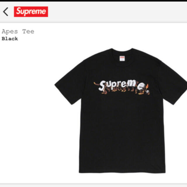 21aw 黒 Lサイズ supreme Apes TEE - Tシャツ/カットソー(半袖/袖なし)