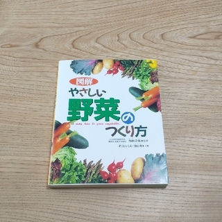 やさしい野菜のつくり方(文学/小説)