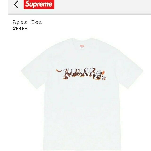 Supreme Apes Tee White / XXL