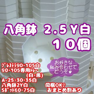 プラ八角鉢 カネヤ【2.5Y】10個 多肉植物 プレステラ(プランター)