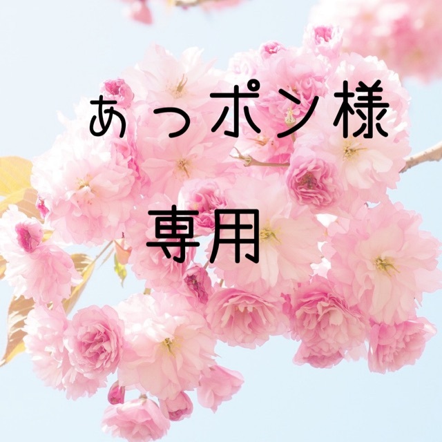 ぁっポン　お米　令和2年　愛媛県産松山三井　玄米　30㎏