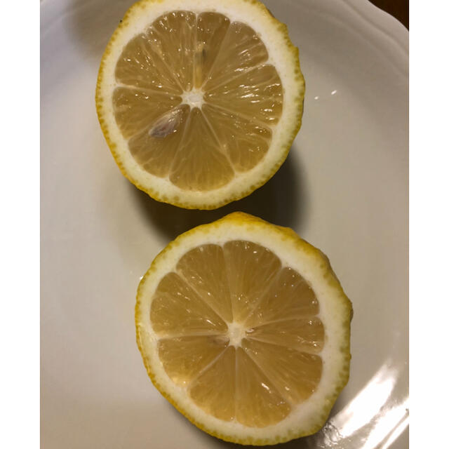 国産　レモン　広島県産　無農薬　レモン　瀬戸内レモン　2.5kg  食品/飲料/酒の食品(フルーツ)の商品写真
