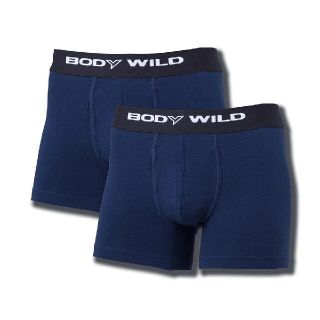 グンゼ(GUNZE)の【2枚】BODY WILD ボクサーパンツ BWB0802 L(ボクサーパンツ)