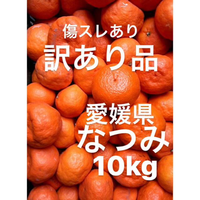 愛媛県 なつみ 傷スレ浮皮あり 10kg 食品/飲料/酒の食品(フルーツ)の商品写真