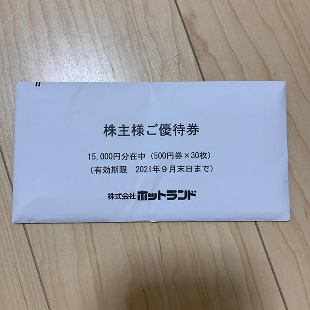 銀だこ ホットランド  株主優待券 15000円分 チケットの優待券/割引券(フード/ドリンク券)の商品写真