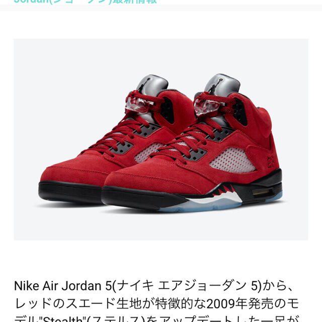 Nike Air Jordan 5 Retro "Raging Bull"メンズ