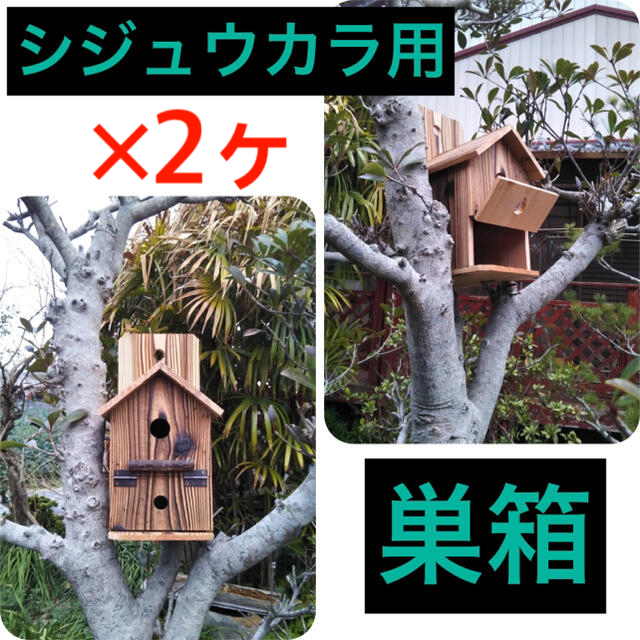鳥の巣　巣箱　シジュウカラ用(蝶番式)×2ヶ