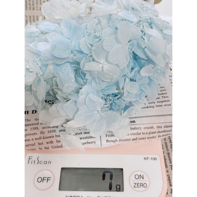 【花材】アジサイ ライトホワイトブルー ハンドメイドのフラワー/ガーデン(ドライフラワー)の商品写真
