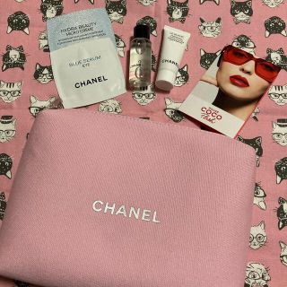 シャネル(CHANEL)のシャネル　コフレポーチ　ポーチのみ　(ポーチ)