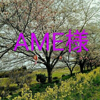 AME 様(チュニック)