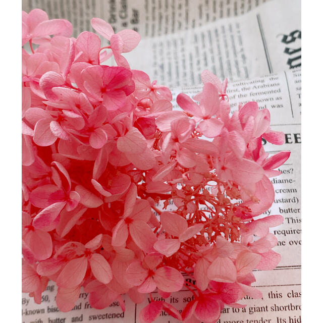 【花材】アジサイ ピンクローズ 【№3】 ハンドメイドのフラワー/ガーデン(プリザーブドフラワー)の商品写真