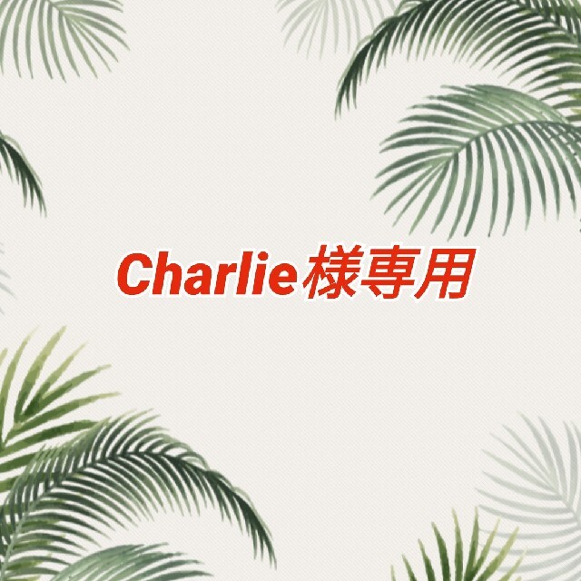 Charlie様専用　ウクレレ用　ストラップ　フックタイプ　他1点 楽器のウクレレ(その他)の商品写真