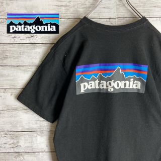 パタゴニア(patagonia)の【定番人気】パタゴニア★バックプリントＴシャツ　ロゴ入ポケット付　(Tシャツ/カットソー(半袖/袖なし))