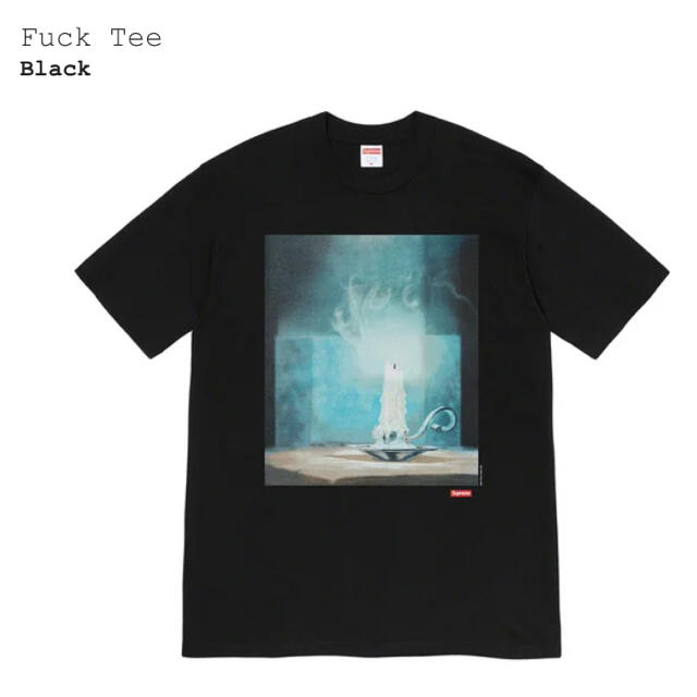 Supreme(シュプリーム)のsupreme Fuck Tee メンズのトップス(Tシャツ/カットソー(半袖/袖なし))の商品写真