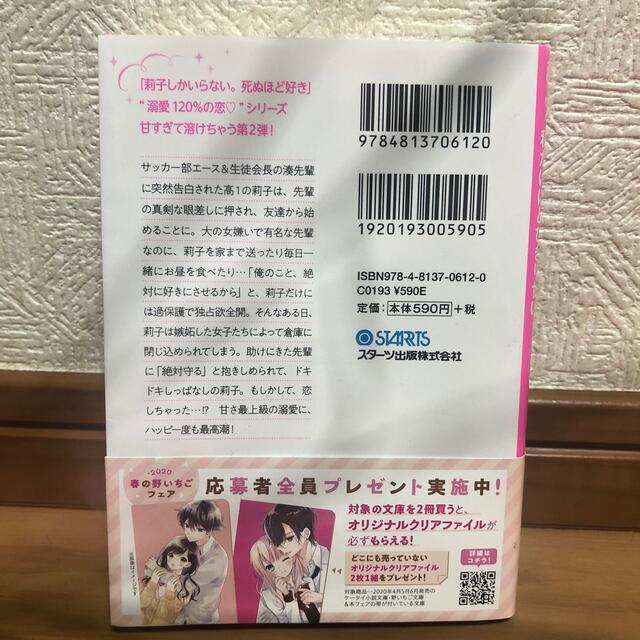 クールな生徒会長は私だけにとびきり甘い。 エンタメ/ホビーの本(文学/小説)の商品写真