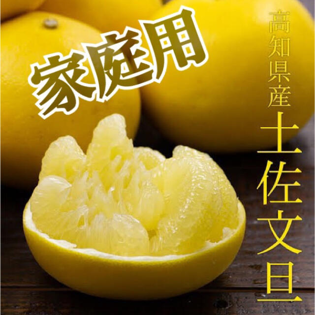 家庭用【土佐文旦】専用箱入り2Lサイズ (約22玉前後)10kg以上！！ 食品/飲料/酒の食品(フルーツ)の商品写真