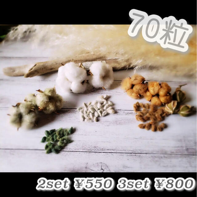 綿の実 種 茶 緑 70粒 ハンドメイドのフラワー/ガーデン(プランター)の商品写真