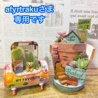 多肉植物　afyrtrakuさま専用オーダーページ(その他)