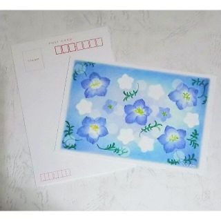 ネモフィラの花 絵葉書　ポストカード2枚セット　パステルアート・イラスト(カード/レター/ラッピング)