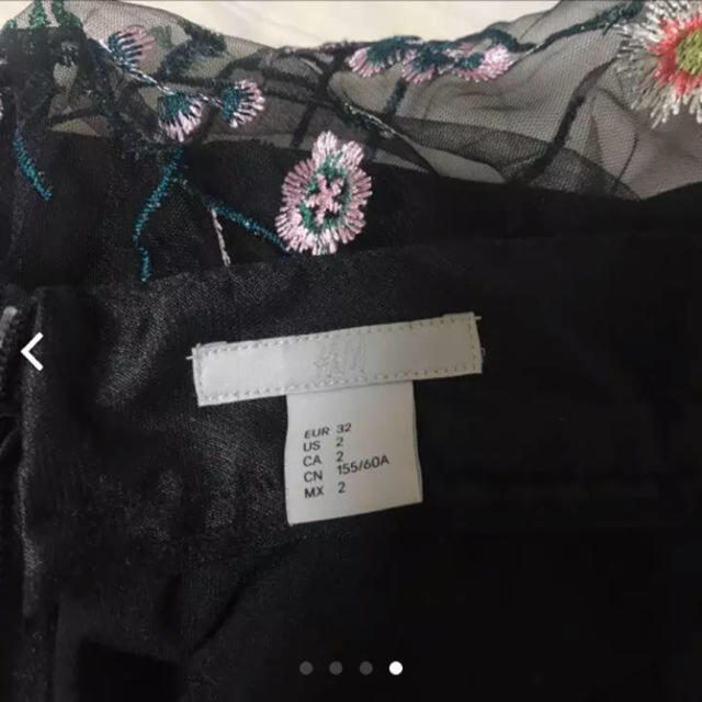 H&M(エイチアンドエム)の刺繍チュールスカート レディースのスカート(ひざ丈スカート)の商品写真
