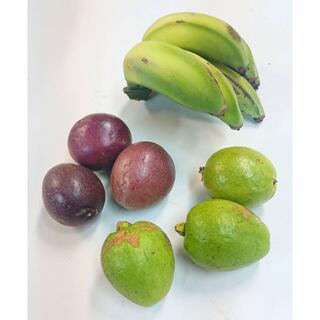 沖縄産人気のフルーツセット！アップルバナナ、パッション、フルーツグァバセット！(フルーツ)