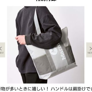 マーモット(MARMOT)のモノマックス付録Marmot特大保冷バック(エコバッグ)