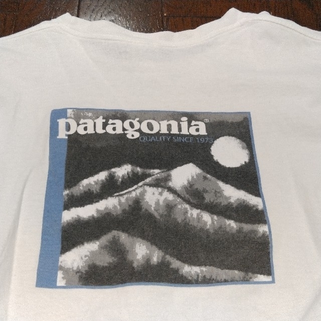 patagonia パタゴニア ロンT Tシャツ ヴィンテージ 90S 白 S