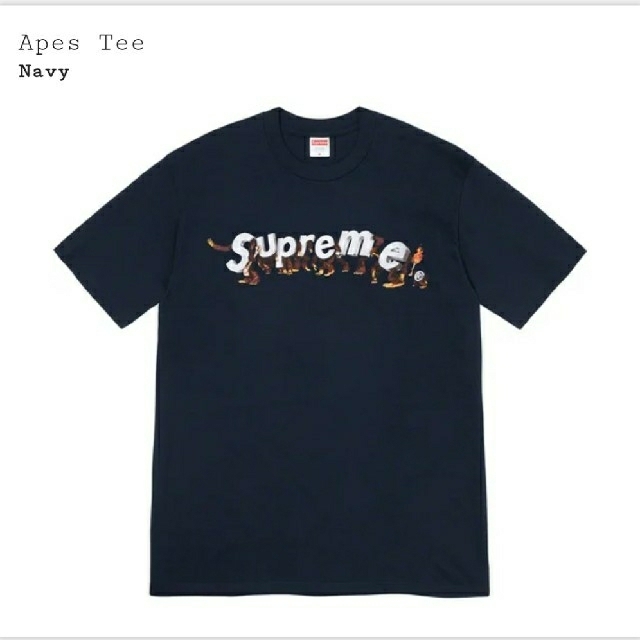 【M】Supreme 2021 SS WEEK8 Apes Tee