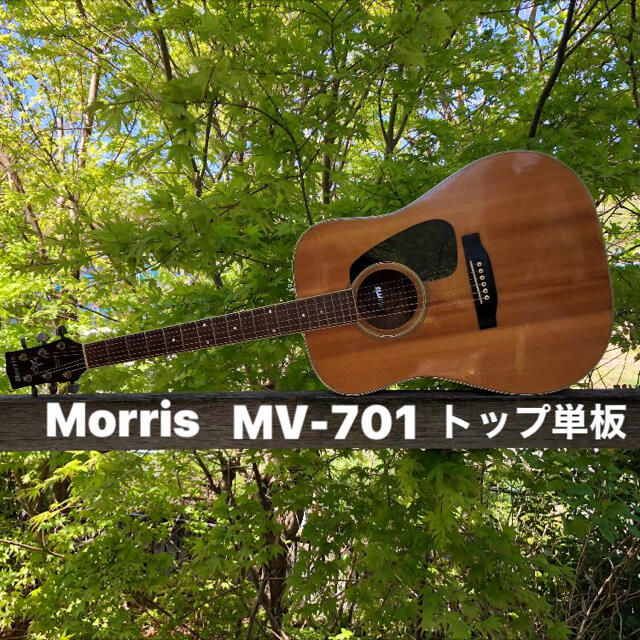 Morris モーリス MV-701 トップ単板の通販 by Richyparadise's shop