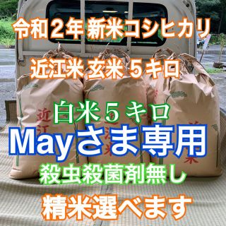 Mayさま専用白米5キロ 玄米5キロ 新米近江米コシヒカリ 農薬散布無し(米/穀物)