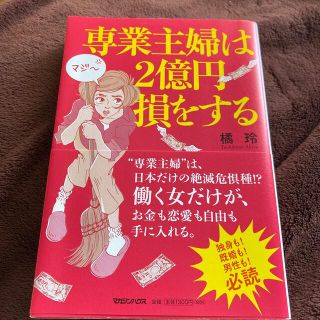 専業主婦は２億円損をする(文学/小説)