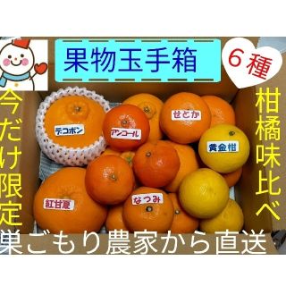 ラクマ価格で果物玉手箱♥今だけ❗珍しい高級柑橘の味比べ♥雪だるま直送(フルーツ)