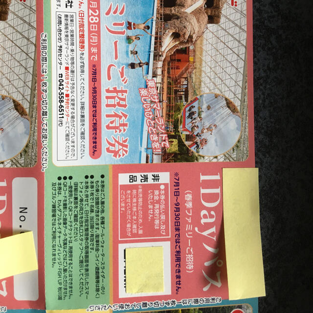 東京都競馬 東京サマーランド 株主優待券 １DAYパス８枚セットの通販