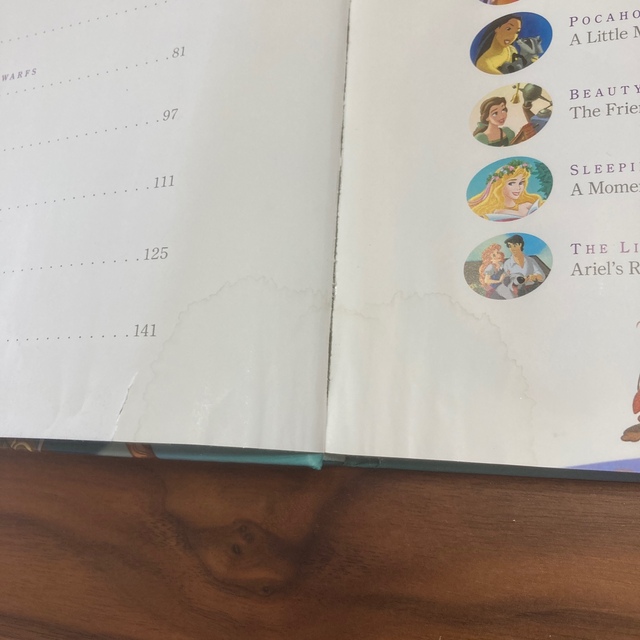 Disney(ディズニー)の[洋書]Disney Princess Storybook Collection エンタメ/ホビーの本(洋書)の商品写真