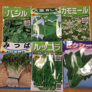 ハーブの種 6種類 家庭菜園 野菜(野菜)