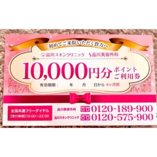 品川美容外科　品川スキンクリニック【10000円分のポイントご利用券】(その他)