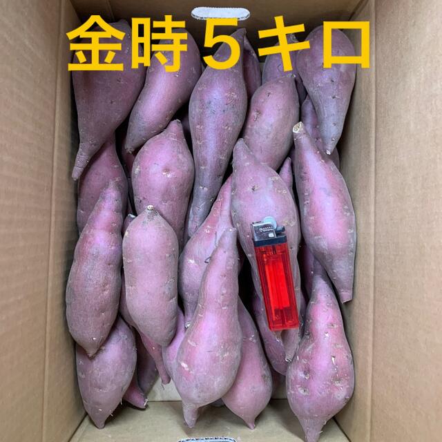 さつまいも５キロ 食品/飲料/酒の食品(野菜)の商品写真