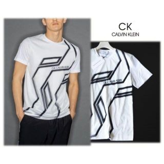 シーケーカルバンクライン(ck Calvin Klein)のSafari掲載! 新品【CK カルバンクライン】新田真剣佑着 Ｔシャツ 白 L(Tシャツ/カットソー(半袖/袖なし))