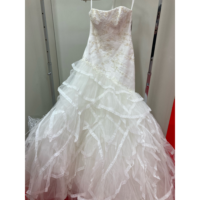 プロノビアス　verawang  ウエディングドレスセット