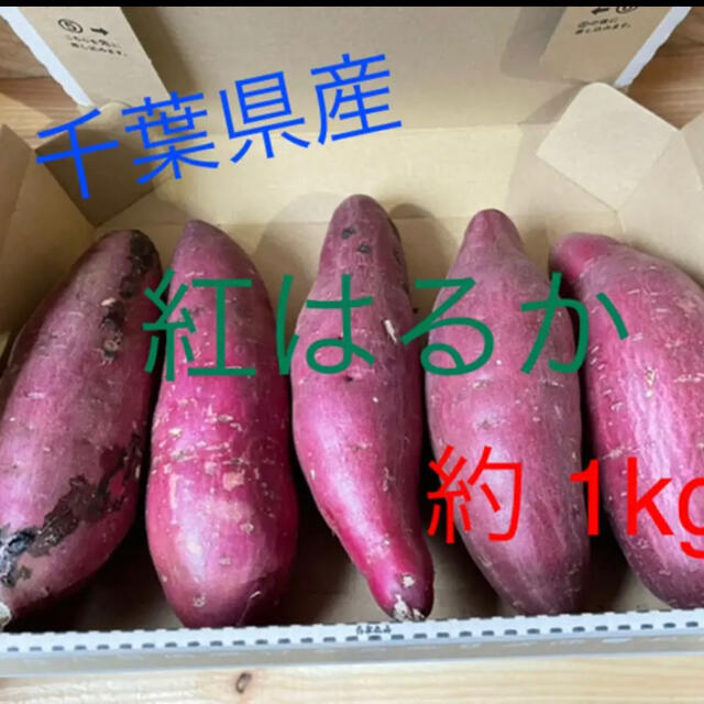 市場直送 千葉県 秀品 紅はるか 1kg 食品/飲料/酒の食品(野菜)の商品写真