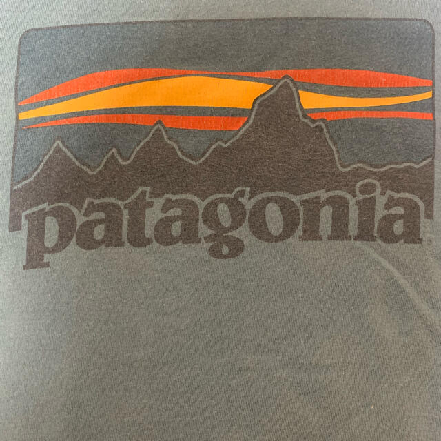 patagonia(パタゴニア)のPatagonia パタゴニア  レトロ　Tシャツ メンズのトップス(Tシャツ/カットソー(半袖/袖なし))の商品写真