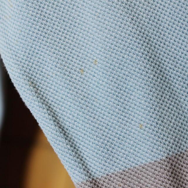 LACOSTE(ラコステ)のフレンチラコステ ボーダー 長袖 ポロシャツ ライトブルー グレー ML ss9 メンズのトップス(ポロシャツ)の商品写真