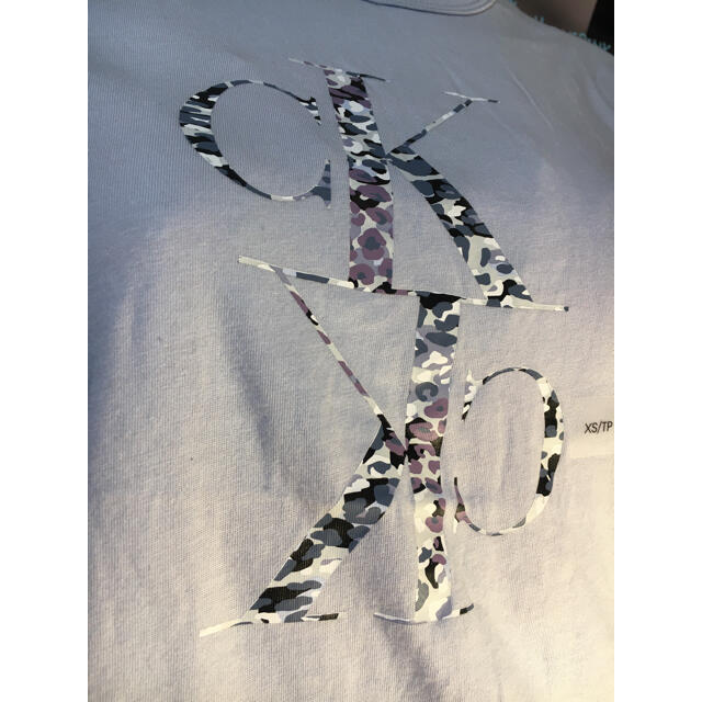 Calvin Klein(カルバンクライン)のCalvin Klein 日本未発売新商品 カルバンクライン ガーリー袖Tシャツ レディースのトップス(Tシャツ(半袖/袖なし))の商品写真