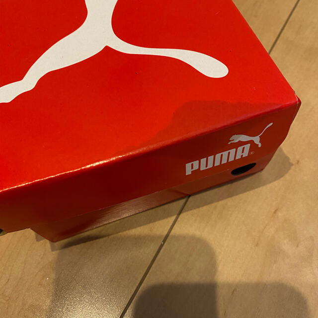 PUMA(プーマ)のPUMA プーマ サンダル 12㎝ 夏 キッズ/ベビー/マタニティのベビー靴/シューズ(~14cm)(サンダル)の商品写真