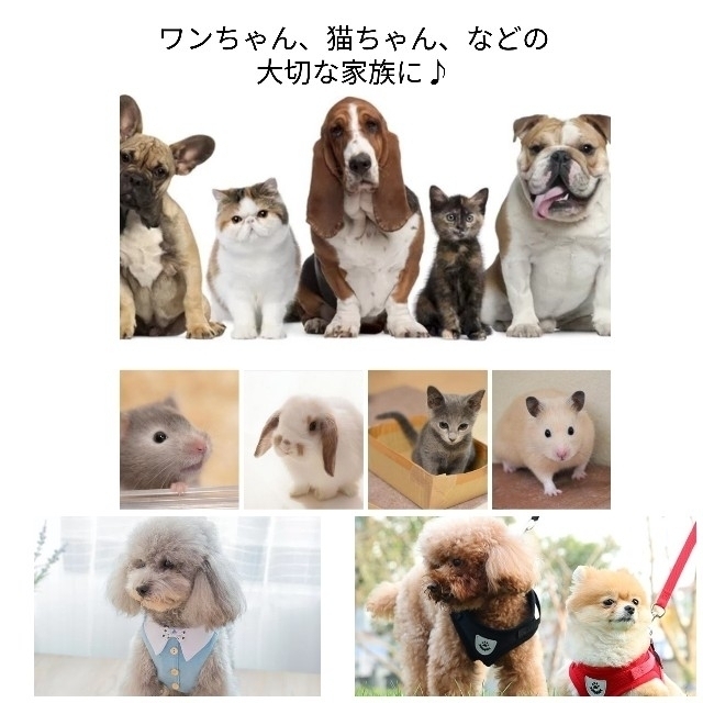 ペット　犬　猫 エサ入れ ステンレス 固定できて可愛い♪ その他のペット用品(犬)の商品写真