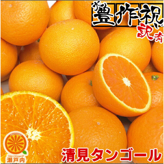 (送料無料) 愛媛産 清見タンゴール(清見オレンジ) 10kg 訳あり 食品/飲料/酒の食品(フルーツ)の商品写真