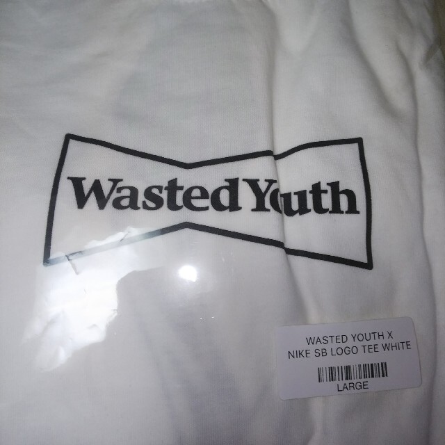 Lサイズ WASTED YOUTH Nike SB LOGO TEE